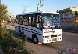 اویکوa80