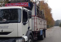 رنو میدلام