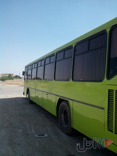اتوبوس ۸۳