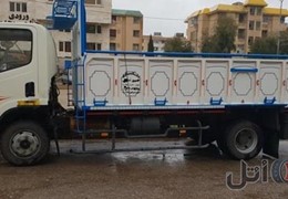 فاو شش تن