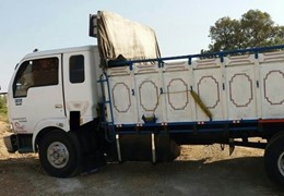 کاویان ۱۰۶