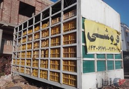 اتاق و قفس حمل مرغ