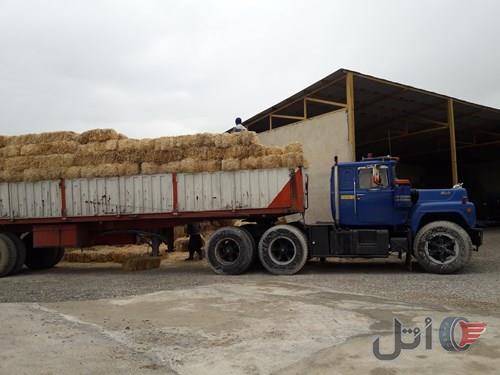 ماک کشنده