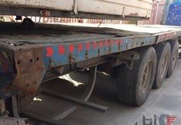 کفى ساپیا