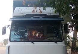 کامیونت اویکو