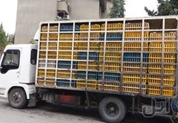 کامیون ایوکو