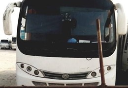 مینی بوس سیترا