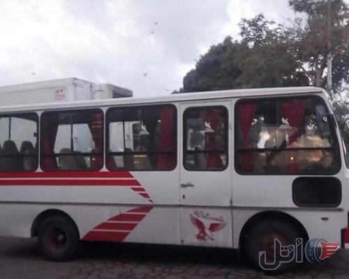 ایویکو هوشمند دار