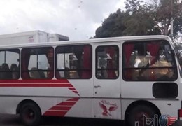 ایویکو هوشمند دار