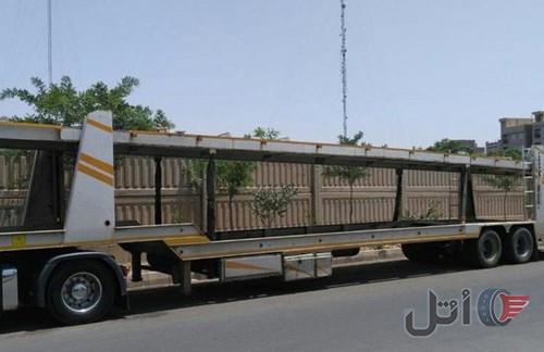 سواری کش