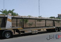 سواری کش