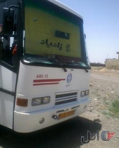 مینی بوس اویکو A80