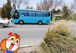 میدل باس فول مدل ۸۹