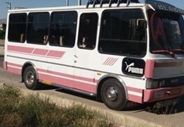 مینی بوس اویکو