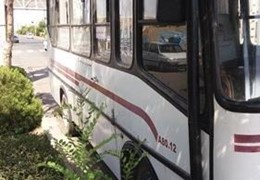 اویکوآ۸۰