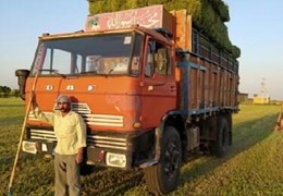 کامیون ۶چرخ داف باری